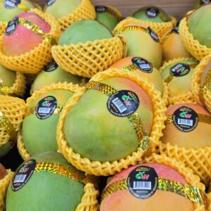 Australia Mango