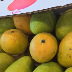Mingola mango