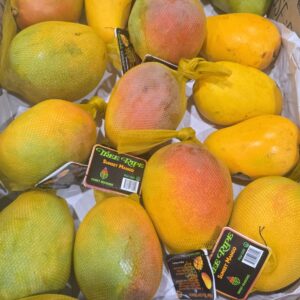 20 lb Amazing Sweet Mango Basket. Tree Ripe Sunset Mangoes