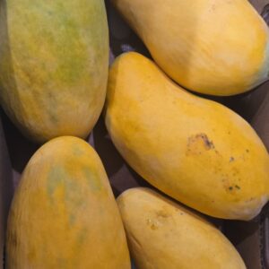 Sindri Mangoes