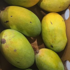 Chonsa Mangoes