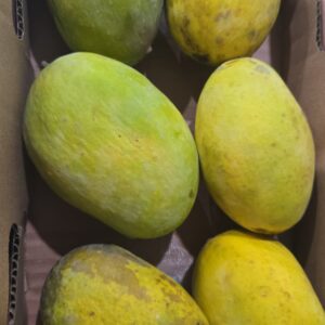 Langra Mangoes